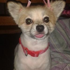 Meet your Posher, Elizabeth